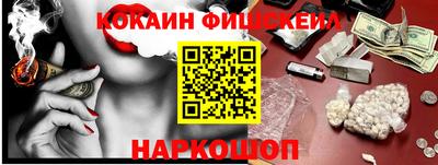 крисы Моздок
