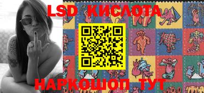 крисы Моздок