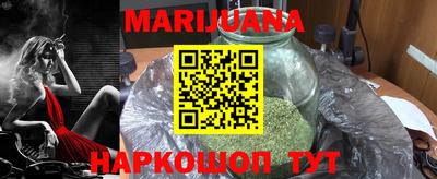 крисы Моздок