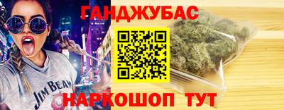 крисы Моздок