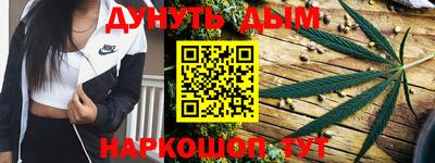 крисы Моздок