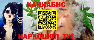 крисы Моздок